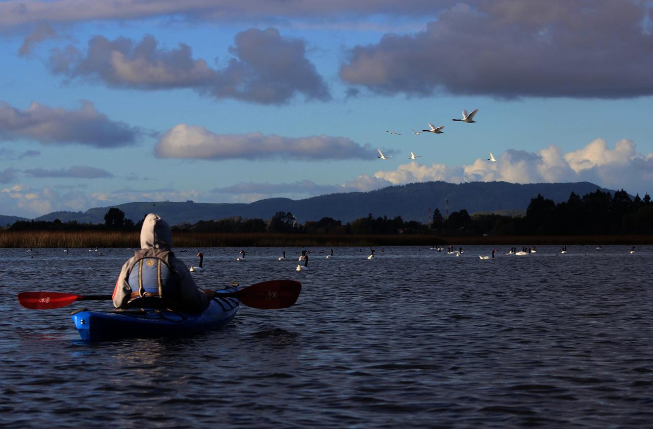 Casa Rio Vivo * Valdivia